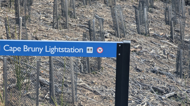 PXL_20250725_035754990